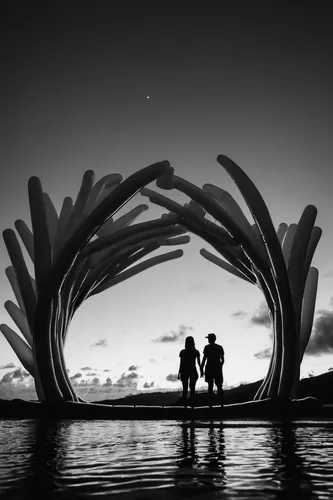 loving couple sunrise,steel sculpture,wire sculpture,couple silhouette,sculpture park,driftwood,crooked forest,vintage couple silhouette,structure silhouette,deadvlei,monochrome photography,garden sculpture,sculptor ed elliott,lightpainting,public art,entwined,light painting,blackandwhitephotography,environmental art,the roots of the mangrove trees,Illustration,Black and White,Black and White 33