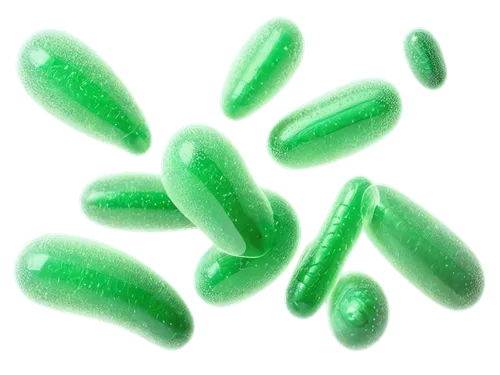 Microscopic, bacteria, various shapes, colorful membranes, flagella, pili, capsules, solo, detailed texture, translucent, 3D illustration, soft focus, ambient light, cinematic composition, HDR, macro 