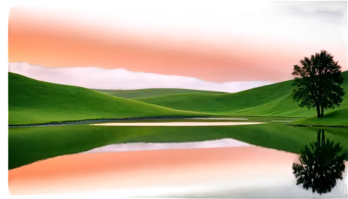 virtual landscape,cypresses,landscape background,green landscape,lone tree,isolated tree,3d background,pond,nature background,volumetric,fractal environment,lonetree,nature landscape,metasequoia,shader,landscapes,small landscape,salt meadow landscape,landscape,arbres,Photography,Black and white photography,Black and White Photography 12