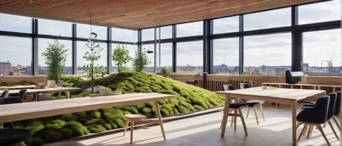 roof garden,nettl,gensler,creative office,modern office,roof terrace,loft,daylighting,lunchroom,timber house,bureaux,limewood,greenhaus,wooden windows,limeworks,meeting room,forest workplace,wood casework,working space,boroughmuir,Illustration,Japanese style,Japanese Style 13