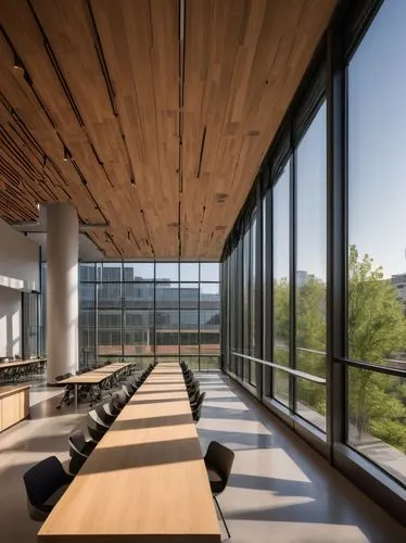 snohetta,daylighting,bohlin,gensler,modern office,conference room,oticon,wooden windows,home of apple,revit,wood window,school design,hardwood,glass wall,conference table,steelcase,lecture hall,laminated wood,wood deck,glass facade,Conceptual Art,Oil color,Oil Color 16