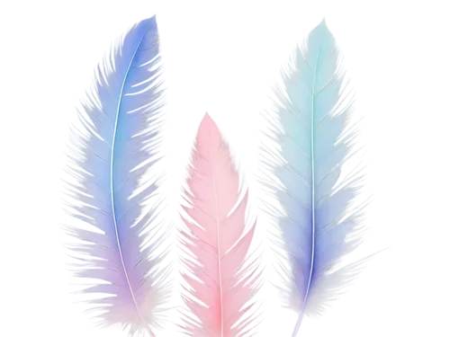 color feathers,feather,parrot feathers,feathers,bird feather,angel wing,angel wings,feather jewelry,chicken feather,plumes,white feather,pigeon feather,archangels,bird wings,feather pen,feather bristle grass,swan feather,sylphs,hawk feather,gradient mesh,Illustration,Realistic Fantasy,Realistic Fantasy 24