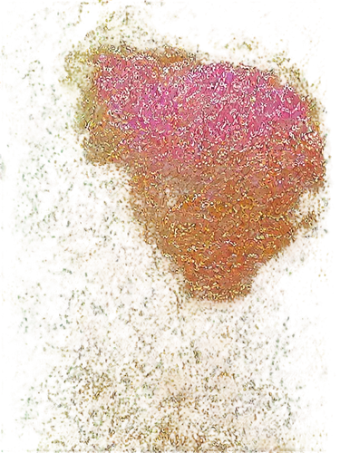 kngwarreye,blossom tree,stettheimer,blossoming apple tree,peach tree,meadow in pastel,cherry blossom tree,jianfeng,soft coral,takato cherry blossoms,handroanthus,pink grass,red tree,flower painting,orange tree,hodgkin,poinciana,cherry tree,blooming field,eucalypt,Conceptual Art,Sci-Fi,Sci-Fi 24