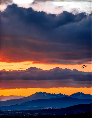 Vibrant orange sunset, warm golden light, clouds with soft pinkish hue, gentle wispy strands, mountain silhouette in distance, few birds flying high, panoramic view, 3/4 composition, shallow depth of 