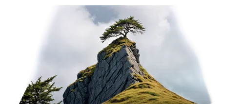 spruce needle,rock needle,isolated tree,volcanic plug,lone tree,trees with stitching,split rock,the needle,devilwood,megalith,redwood tree,camel peak,goat mountain,5 dragon peak,larch tree,bigtree,rock formation,mountain slope,devil's tower,landscape background,Illustration,Realistic Fantasy,Realistic Fantasy 15