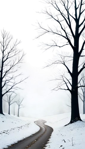 winter background,winter landscape,snow landscape,snowy landscape,snow scene,winter dream,christmas snowy background,wintry,winterland,winter night,winter forest,winterreise,landscape background,winterization,snowflake background,overwinter,snowfalls,winters,christmas landscape,in the winter,Illustration,Vector,Vector 13