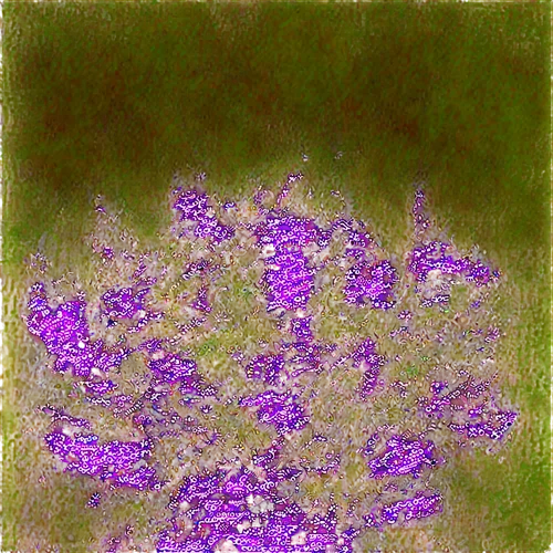 purpleabstract,henbit,limonium,calluna,spirea,purple fountain grass,lilac branches,decorative bush,stylidium,fireweed,petals purple,lavenders,spiraea,allelopathic,sphagnum,crowberry,astilbe,purple flowers,lavender flowers,arkansas redbud blossoms,Conceptual Art,Sci-Fi,Sci-Fi 14