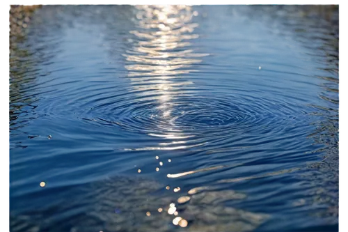 ripples,rippling,reflection of the surface of the water,water reflection,reflections in water,water surface,reflection in water,rippled,reflecting pool,water mirror,water scape,waterbody,mirror water,wasser,waterscape,waterbodies,waterline,sparwasser,surface tension,ripple,Illustration,Retro,Retro 11