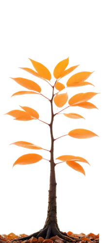 flourishing tree,maple bonsai,tangerine tree,cardstock tree,growth icon,potted tree,argan tree,bonsai tree,palm tree vector,penny tree,small tree,deciduous tree,sapling,birch tree illustration,orange tree,silk tree,argan trees,isolated tree,brown tree,upward tree position,Art,Classical Oil Painting,Classical Oil Painting 04