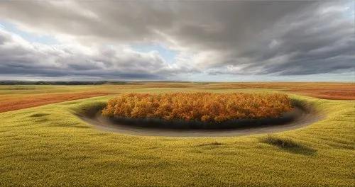 palouse,chair in field,polder,polders,landscape photography,prairies,Material,Material,North American Oak