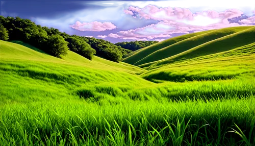 green landscape,landscape background,grasslands,green meadow,ricefield,grassland,nature background,green fields,rolling hills,background view nature,ricefields,virtual landscape,meadow landscape,3d background,green grass,green valley,hills,nature landscape,grassy,long grass,Illustration,Realistic Fantasy,Realistic Fantasy 22