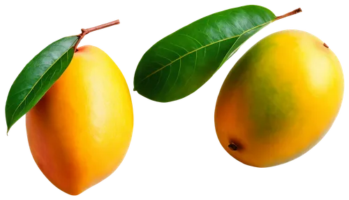 Ripe mango, yellow skin, sweet juicy flesh, green leafy top, solo, studio lighting, soft focus, shallow depth of field, warm color tone, 3/4 composition, fruit still life, realistic texture, detailed 