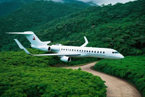 Imagine a luxurious widebody jet landing on a private runway surrounded by lush greenery.,bombardier challenger 600,mitsubishi regional jet,learjet 35,shaanxi y-9,shaanxi y-8,business jet,dornier 328,