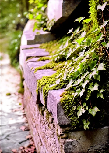 stone bench,wall,stone fence,stone wall,moss,log bridge,old wall,liverwort,garden bench,moss saxifrage,cattle trough,mountain stone edge,forest moss,water channel,green wallpaper,stone stairs,cry stone walls,water trough,wooden bench,wall stone,Conceptual Art,Fantasy,Fantasy 22