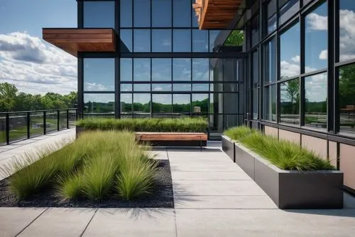 Modern office building, Williamsville NY, architectural firm, glass facade, steel frame, wooden accents, green roof, outdoor seating area, urban landscape, cloudy sky, afternoon sun, warm lighting, 3/