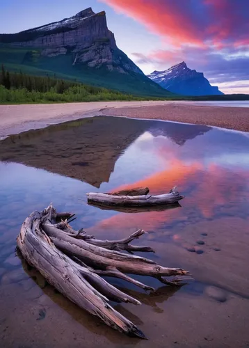 Sunrise at Driftwood Beach with Vimy Peak in the background, Waterton Lakes National Park, Alberta, Canada, North America,glacier national park,bow lake,swiftcurrent lake,driftwood,vermilion lakes,jas