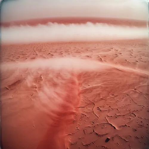 red sand,red planet,pink sand dunes,coral pink sand dunes,mist,fog,Photography,Documentary Photography,Documentary Photography 03