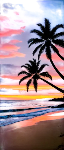 beach landscape,tropical beach,watercolor palm trees,sunset beach,beach scenery,palm tree vector,tropical sea,beach background,sunrise beach,palm tree,dream beach,coast sunset,south seas,tropics,palm field,palms,palm tree silhouette,barotropic,tropical house,palm trees,Illustration,Paper based,Paper Based 04