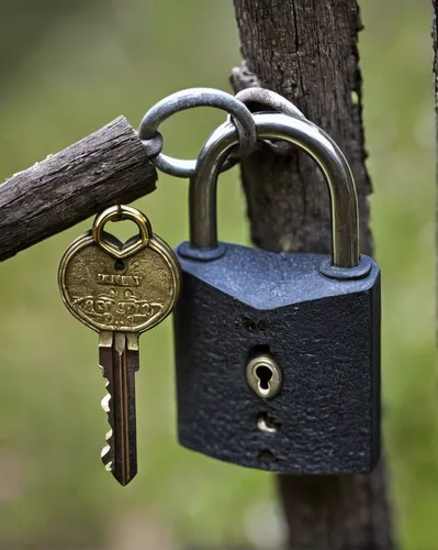 In a post-apocalyptic world, find the old padlock holding the key to survival.,padlock,padlocks,padlock old,bicycle lock key,combination lock,heart lock,information security,open locks,love lock,love 