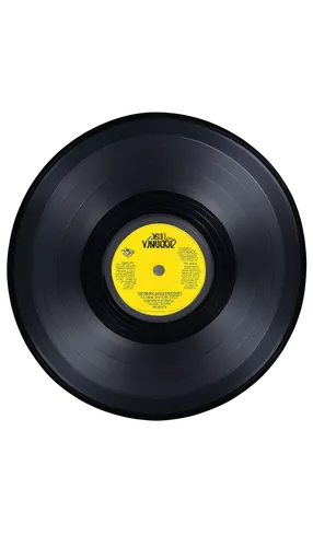 voyager golden record,gramophone record,grammophon,vocalion,schallplatten,blank vinyl record jacket,gramophone,vinyl record,golden record,parlophone,music record,phonograph,victrola,the phonograph,gramophones,xymox,the gramophone,turntable,vinyl records,shellac record,Conceptual Art,Daily,Daily 29