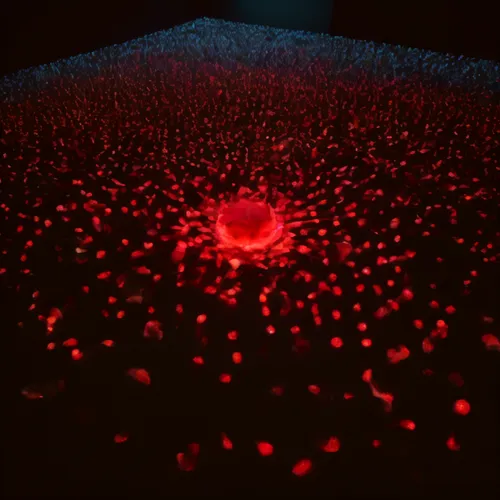 plasma lamp,red matrix,red blood cells,blood cells,red confetti,night view of red rose,particles,red anemone,deep coral,plasma,laser code,missing particle,connective tissue,polyp,computed tomography,f