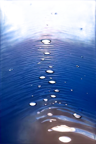 ripples,water drops,water surface,waterdrops,water droplets,droplets of water,rippling,drops of water,rainwater drops,water droplet,waterdrop,reflection of the surface of the water,ripple,water drop,reflection in water,rippled,waterline,blue rain,drop of water,raindrop,Illustration,Black and White,Black and White 09