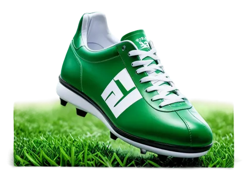 footjoy,football boots,shoes icon,sports shoe,greenshoe,leprechaun shoes,kelme,placekickers,tennis shoe,golfs,sports shoes,sport shoes,subbuteo,athletic shoes,green power,aaaa,green and white,artificial grass,herbe,derivable,Illustration,Retro,Retro 23