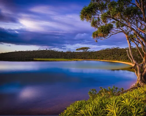 Lake Ainsworth, Lennox Head. Australia. - Ben Aboody Photography,new south wales,mona vale,evening lake,fraser island,byron bay,tasmania,bay of islands,blue hour,wet lake,landscape photography,north i