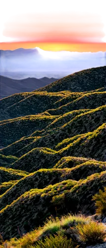 Sendero de los Apalaches, scenic landscape, sunrise or sunset, panoramic view, rolling hills, cacti scattered, rocky terrain, few trees, distant mountains, soft warm lighting, high dynamic range, cine