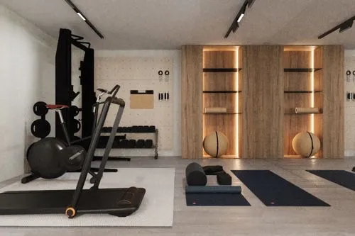 fitness room,fitness center,fitness facility,technogym,workout equipment,gymnastics room,elitist gym,leisure facility,workout items,gimnasio,pair of dumbbells,gyms,kettlebells,home workout,precor,gymnasiums,sportsclub,iyengar,yoga mats,wellness