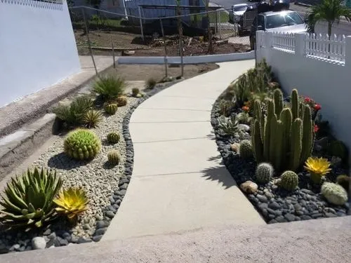 Cement ramp for people with disabilities,a small walkway is bordered with rocks and cactuses,xeriscaping,landscape design sydney,patio,xerfi,landscape designers sydney,landscaped