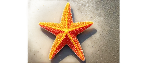 Starfish, beach scene, five-armed, colorful, detailed texture, shiny surface, lying on sand, seaweed around, ocean waves in background, bright sunlight, warm color tone, 3/4 composition, low-angle sho