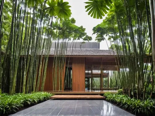 bamboo curtain,bamboo plants,bamboo forest,bamboo,hawaii bamboo,vietnam,singapore,bamboo frame,asian architecture,hanoi,vietnam's,garden design sydney,eco hotel,feng shui,japanese zen garden,zen garden,palm garden,garden of plants,vietnam vnd,water wall,Photography,General,Realistic