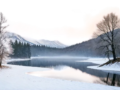 winter lake,winter landscape,frozen lake,snowy landscape,winter morning,winter background,hintersee,snow landscape,starnberger lake,slowinski national park,antorno lake,christmas landscape,carpathians,alpsee,winter magic,beautiful lake,alpine lake,engadin,tatra mountains,winter dream,Conceptual Art,Oil color,Oil Color 06