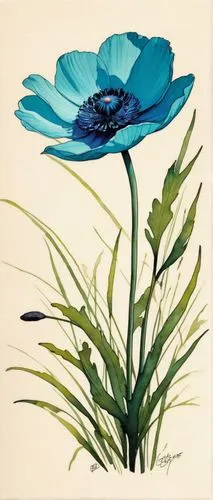 himilayan blue poppy,flower painting,blue anemones,blue anemone,blue petals,blue flax,flower illustration,blue flower,flower illustrative,water lily plate,cornflower,cosmos caudatus,anemone coronaria,water-the sword lily,cosmos bipinnatus,anemone blanda,cyanus cornflower,water flower,perennial flax,garden cosmos,Conceptual Art,Fantasy,Fantasy 07