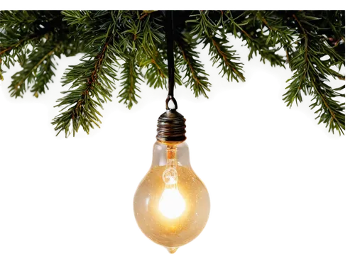 christmas bulb,christmas bulbs,energy-saving bulbs,incandescent lamp,hanging bulb,christmas tree bauble,electric bulb,christmas light,light bulb,bulb,christmas tree ornament,the light bulb,halogen bulb,light bulbs,bauble,lightbulb,fir tree decorations,christmas tree decoration,pine cone ornament,christmas ball ornament,Illustration,Realistic Fantasy,Realistic Fantasy 32