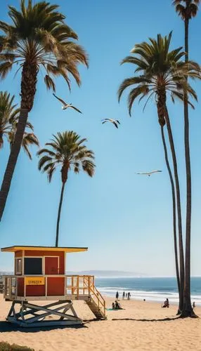 Southern California coastline, sunny day, clear blue sky, palm trees swaying gently, sandy beach, surfers riding waves, seagulls flying overhead, lifeguard tower in the distance, people sunbathing or 