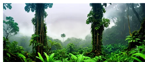 tropical forest,rainforests,rain forest,nature background,rainforest,forest background,green forest,jungles,forests,philodendrons,background view nature,cartoon video game background,landscape background,divinorum,gondwanaland,forestland,afforested,vegetation,rwindi,3d background,Art,Artistic Painting,Artistic Painting 31