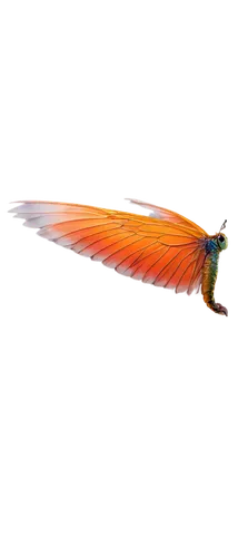 Delicate wings, colorful scales, flying pose, solo, nature-inspired, macro shot, extremely shallow depth of field, soft natural light, warm color tone, 1/2 composition, gentle blur effect, transparent