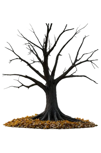 penny tree,jaggery tree,halloween bare trees,deciduous tree,tree die,cardstock tree,baobab oil,windfall,vinegar tree,brown tree,upward tree position,argan tree,tangerine tree,isolated tree,scratch tree,chastetree,money tree,oak tree,cut tree,burnt tree,Art,Classical Oil Painting,Classical Oil Painting 16