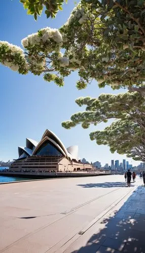 sydney opera house,opera house sydney,sydney opera,opera house,barangaroo,sydney australia,utzon,sydney harbour,sydney,circular quay,bennelong,sydneyharbour,australia aud,sydney skyline,battery gardens,sidney,taronga,milsons point,royal botanic garden,esplanade,Conceptual Art,Daily,Daily 10