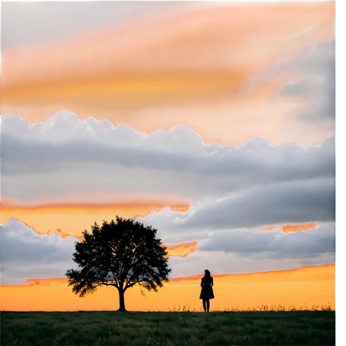 lone tree,woman silhouette,silhouette of man,silhouette against the sky,tree silhouette,isolated tree,man silhouette,vintage couple silhouette,girl with tree,landscape photography,landscape background,old tree silhouette,nature and man,couple silhouette,to be alone,silhouette,women silhouettes,nature photographer,art silhouette,woman walking,Photography,Documentary Photography,Documentary Photography 09