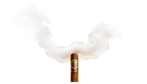 camacho trumpeter,cloud of smoke,smoke plume,cigar tobacco,sombrero mist,smoke dancer,tobacco the last starry sky,abstract smoke,cuban cigar,smoke bomb,smoking cigar,plume,bellow's smoker,smoke background,solomon's plume,cigar,smoke,the smoke,smoking crater,roaring-forties-blue cheese,Photography,Documentary Photography,Documentary Photography 19