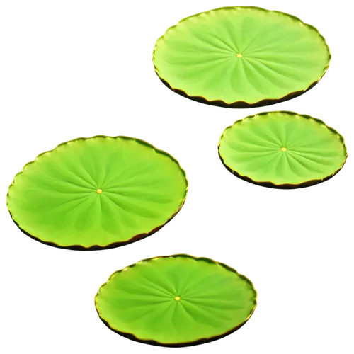 Lily pad, green, circular, soft texture, delicate white flowers, water lily, aquatic plant, serene atmosphere, shallow depth of field, warm sunlight, 3/4 composition, close-up shot, high-resolution de