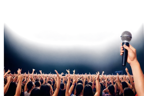 concertgoer,concert crowd,concerts,concert,live concert,microphone,mic,palco,orator,microphone stand,singing,audience,wireless microphone,concert guitar,conciertos,sing,speech icon,raised hands,pollstar,concert stage,Illustration,Realistic Fantasy,Realistic Fantasy 11