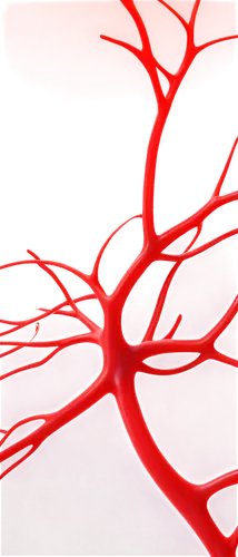 Peritoneal cavity, transparent membrane, intricate network of blood vessels, shiny smooth surface, gentle curves, soft lighting, detailed texture, 3D rendering, anatomical accuracy, warm color tone, m