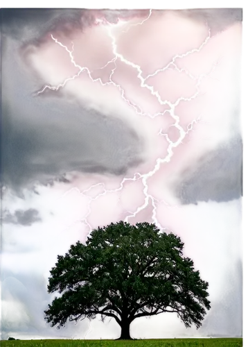 isolated tree,nature background,celtic tree,oak tree,arbre,nature's wrath,tree,lone tree,elm tree,lightning storm,baum,fallstrom,tree thoughtless,weather icon,ash tree,thundering,magic tree,deciduous tree,derivable,albero,Illustration,Realistic Fantasy,Realistic Fantasy 41