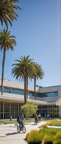 UC Davis architecture, modern campus building, concrete structure, glass windows, steel frames, green roofs, solar panels, brutalist design, vibrant courtyard, students walking, backpacks, laptops, bi