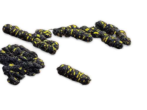 corona virus,dendrimers,topoisomerase,potyvirus,microtubules,cytogenetic,polymerases,lentivirus,ultracapacitors,bacteriorhodopsin,nucleosomes,mutations,polypeptide,ebolavirus,polymerase,heterozygotes,lentiviruses,heterozygote,neurotrophins,mutagens,Art,Classical Oil Painting,Classical Oil Painting 07