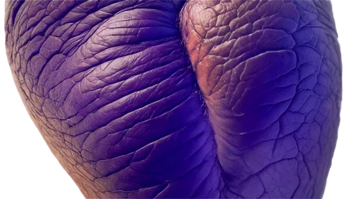 Bruise, dark purple, human skin, veins visible, subtle shine, realistic texture, detailed wrinkles, blood vessels, capillaries, faint grid pattern, macro shot, extreme close-up, dramatic lighting, hig